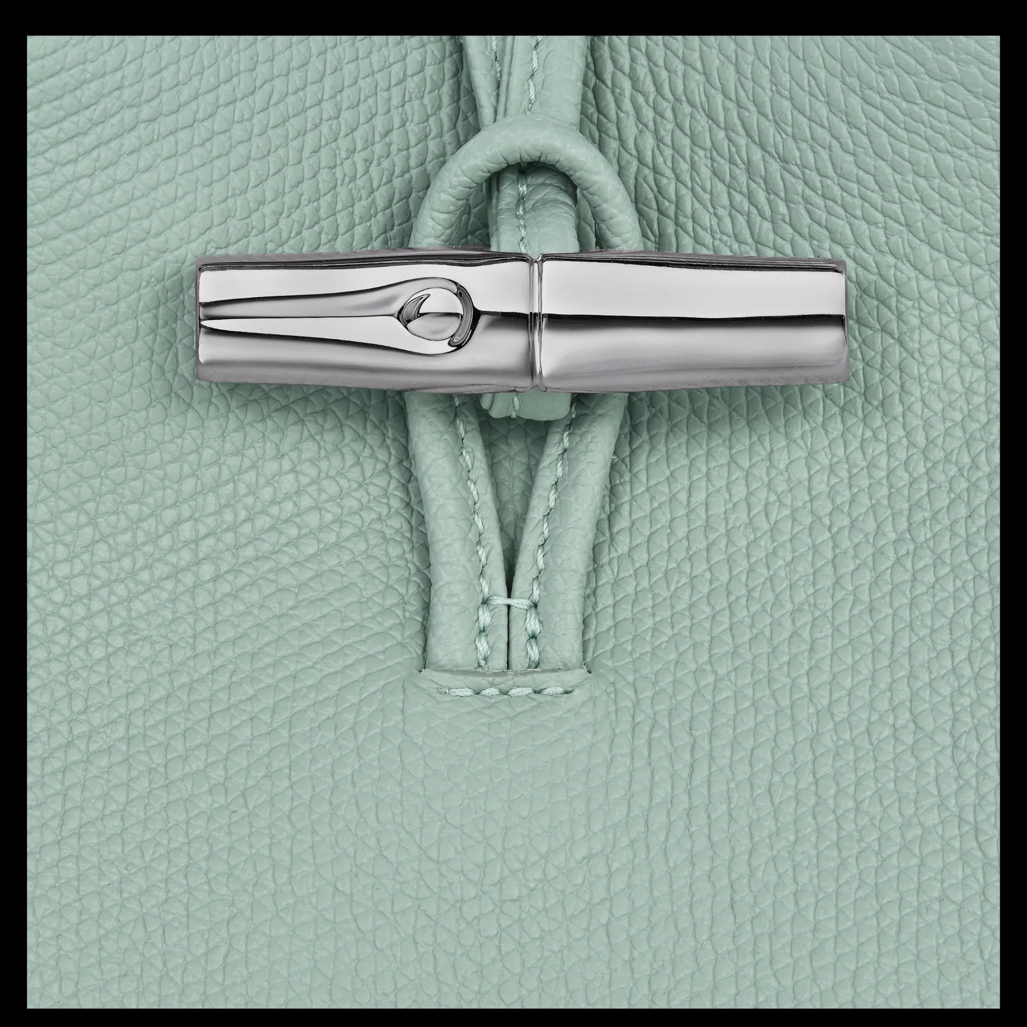 Best Longchamp Etui Téléphone Le Roseau Céladon