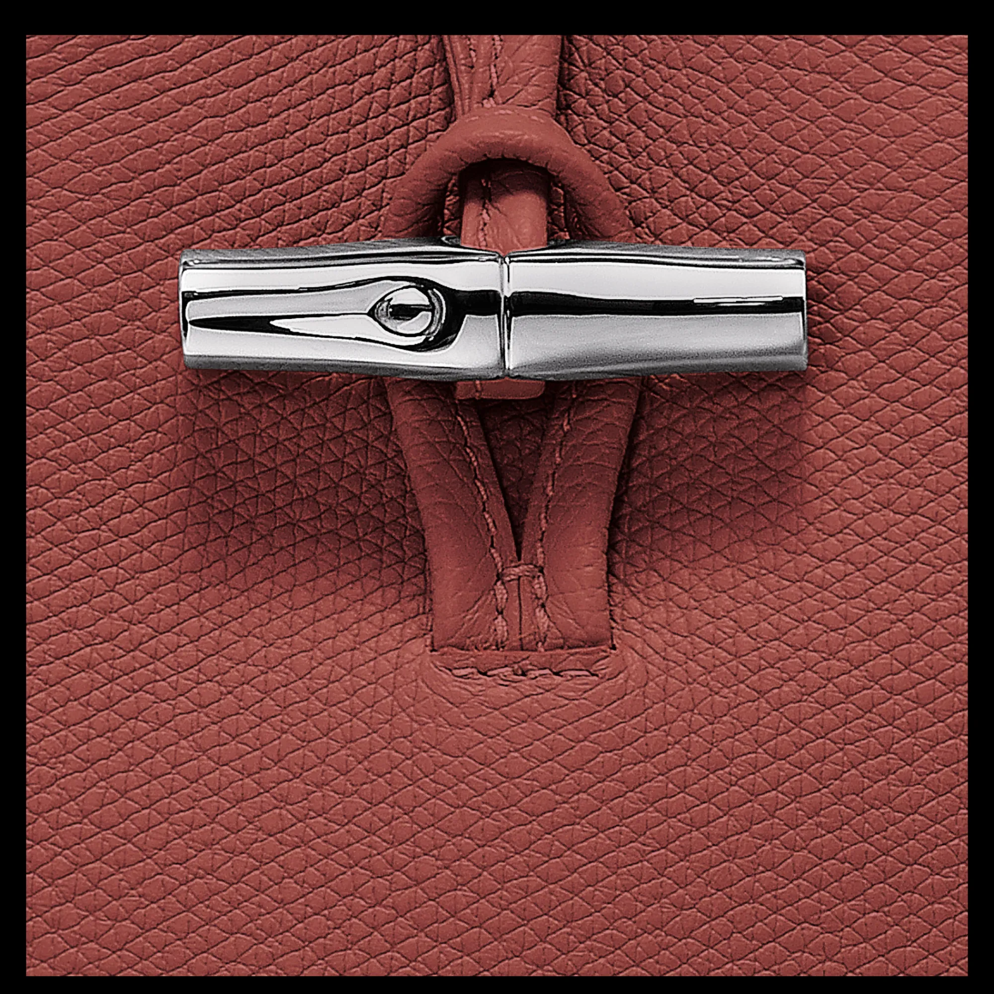 Best Longchamp Etui Téléphone Le Roseau Châtaigne