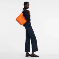 Hot Longchamp Sac Porté épaule M Le Roseau Orange