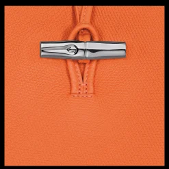 Hot Longchamp Sac Porté épaule M Le Roseau Orange